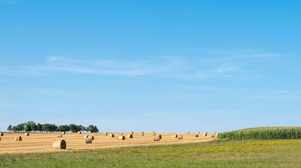 french countryside with straw bales under blue sky in north vosges park regional du vosges du nord