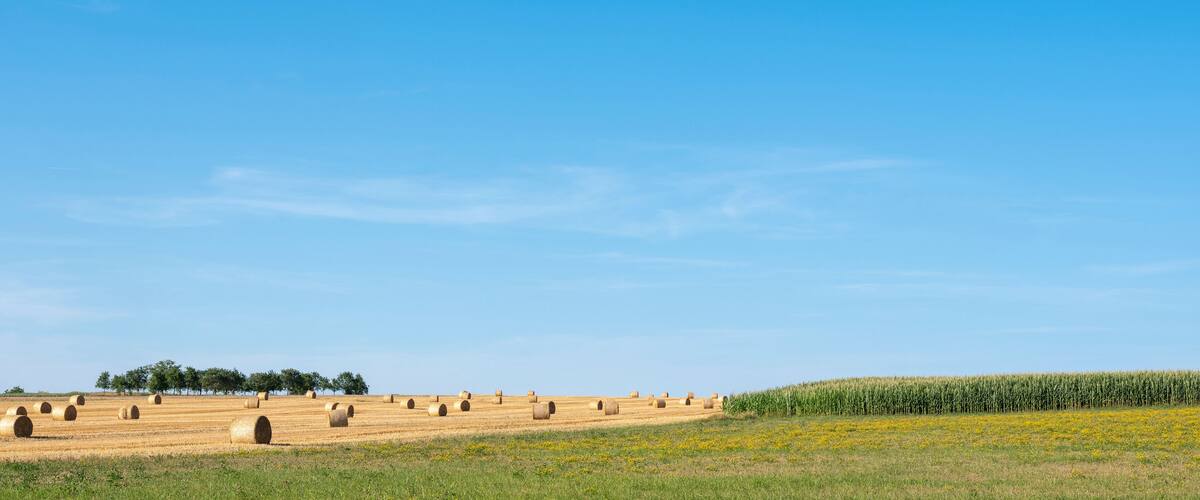 french countryside with straw bales under blue sky in north vosges park regional du vosges du nord