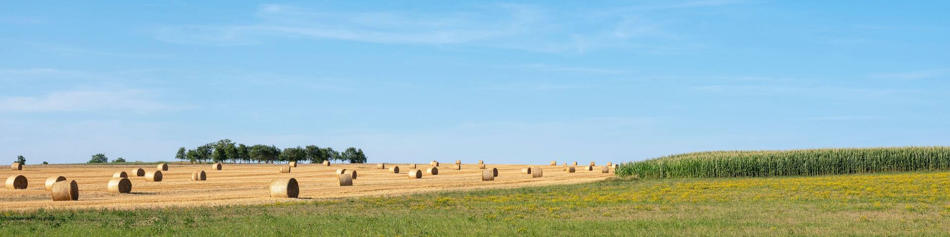 french countryside with straw bales under blue sky in north vosges park regional du vosges du nord