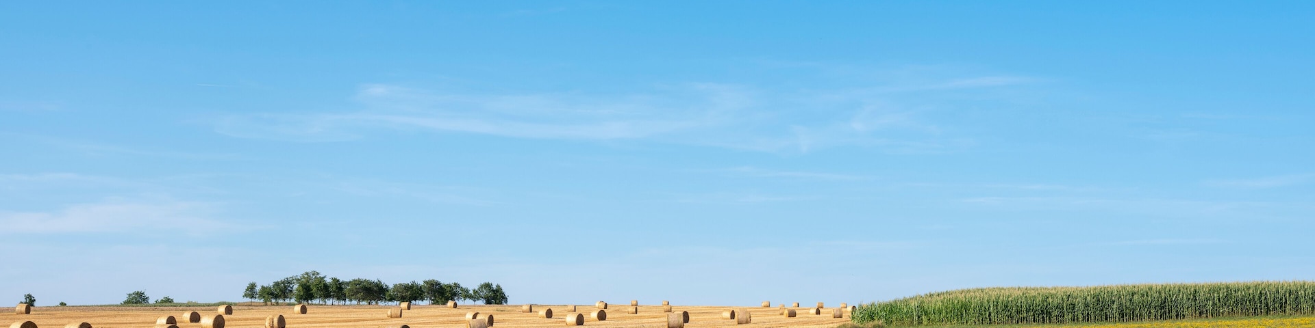 french countryside with straw bales under blue sky in north vosges park regional du vosges du nord
