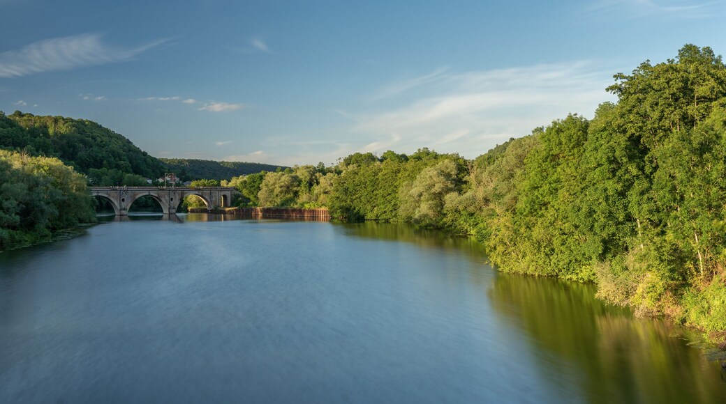 the moselle near nancy in france