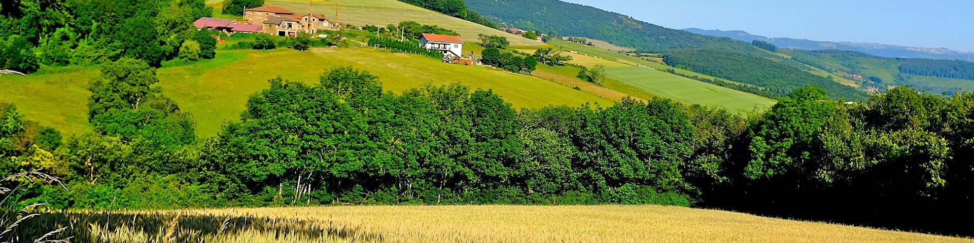 CAMPAGNE PILAT LOIRE