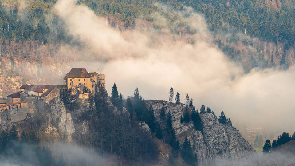 A castle perched on a cliff surrounded by forest and mist.