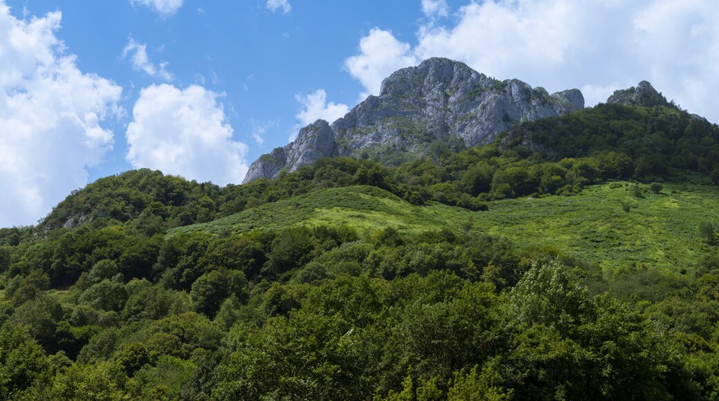 La vallée d'Aspe est une vallée des Pyrénées françaises.