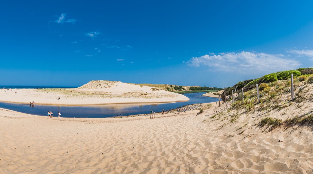 The mouth of the Huchet current in the Landes