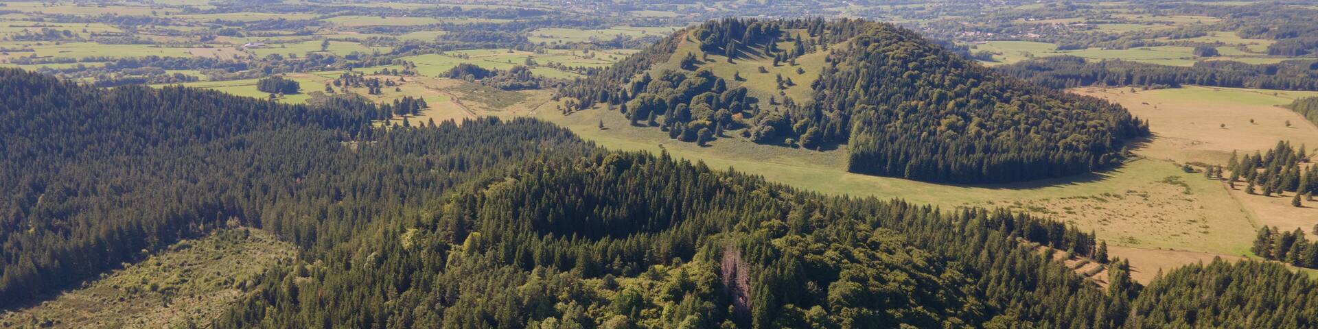 A forested mountain with a clear sky.