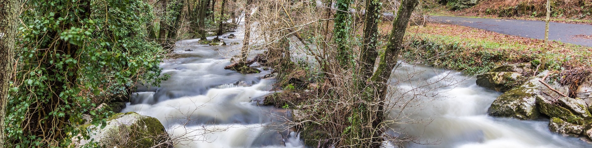 Rivière au cœur de La Fosse Arthour (Normandie, France)