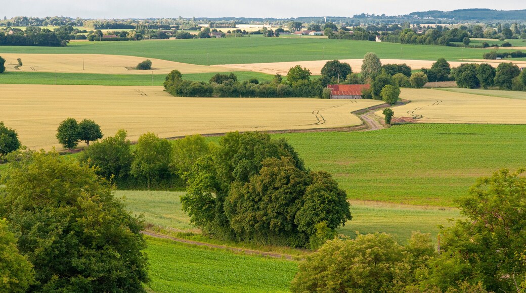 France. Sarthe. Paysage rural, champs cultivés et ferme. Rural landscape, cultivated fields and farm.