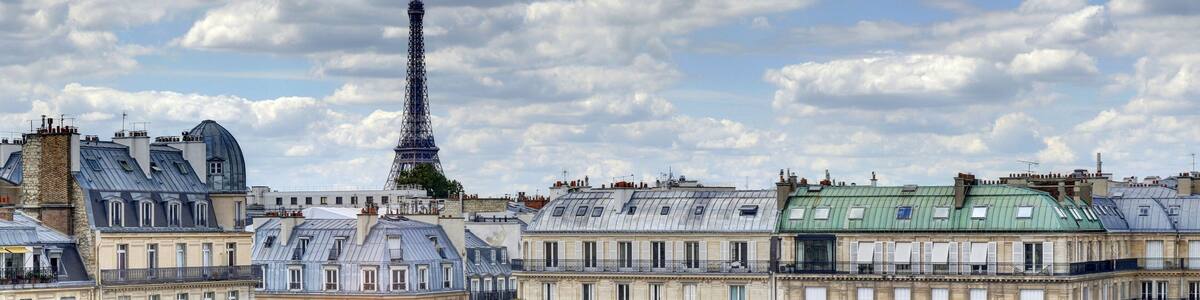 Les toits de Paris et les bords de seine