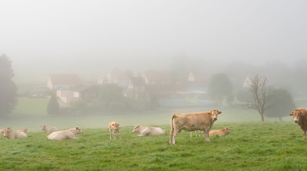 Haut Pays du Montreuillois