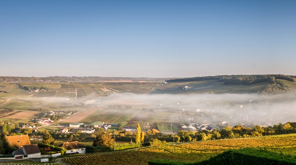 Terres du Haut-Berry