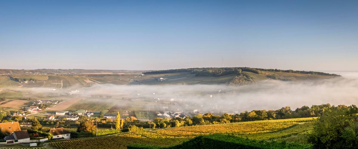 Loire Valley Mist Panorama
