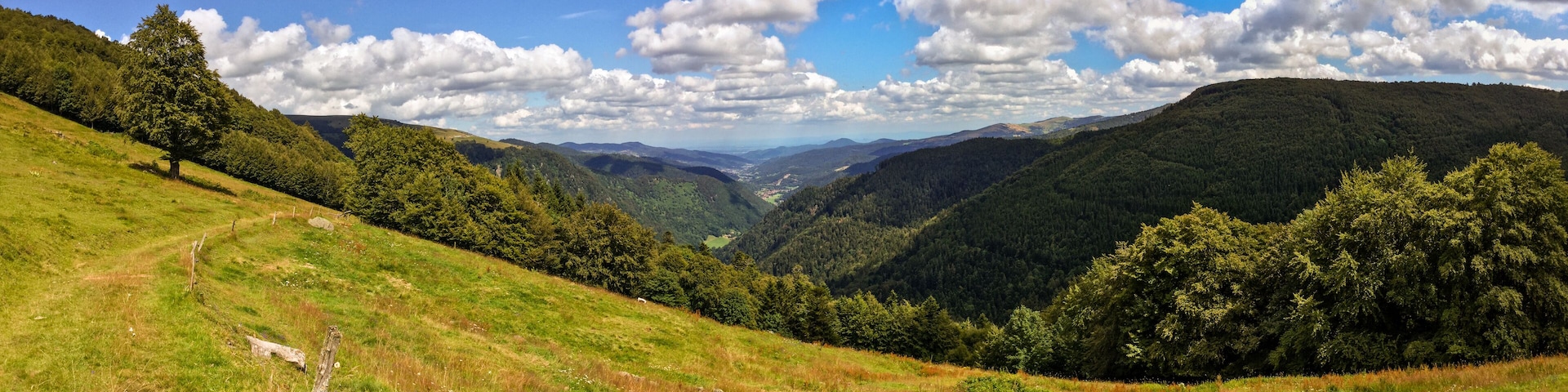 Les hautesâchaumes vosgiennes en Ă©tĂ©, espaces naturels de la montagne, CEA, Alsace, Vosges, Grand Est, France