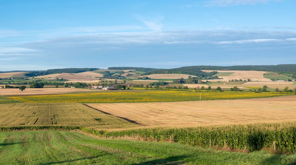 countryside landscape with fields and sunflowers near verdun in the north of france