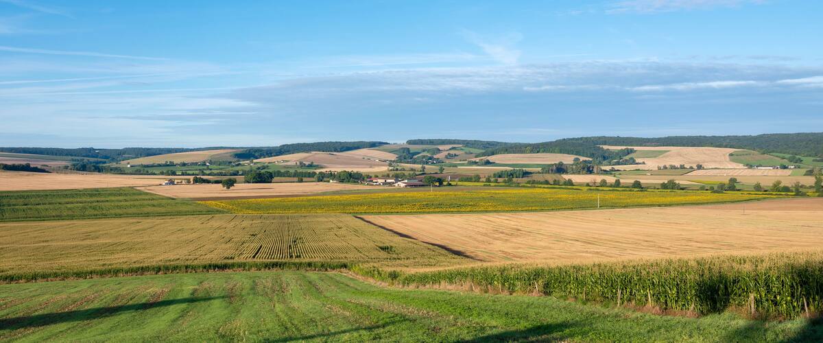 countryside landscape with fields and sunflowers near verdun in the north of france