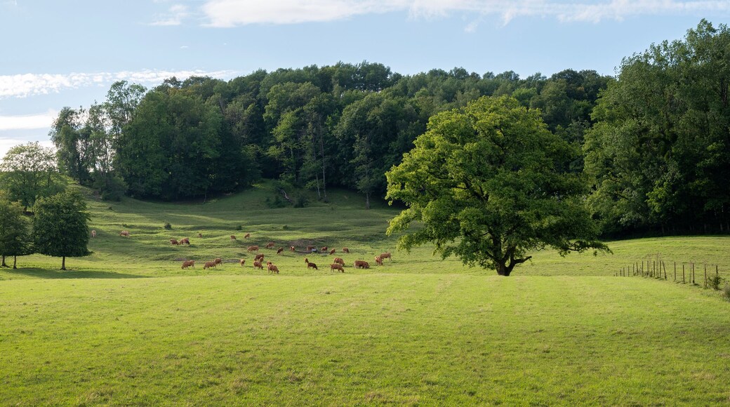 CrĂȘtes PrĂ©ardennaises