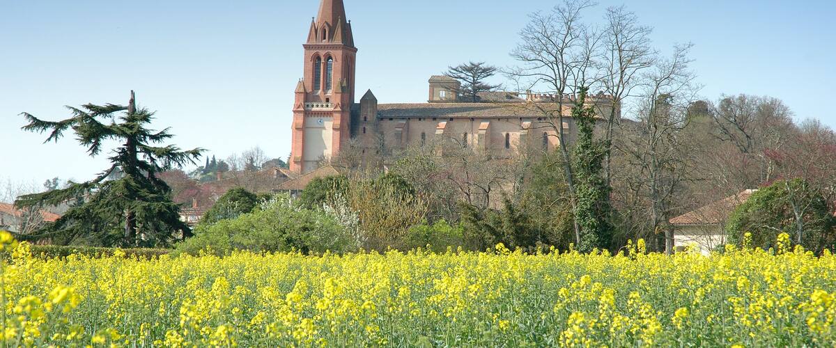 une église dans les pré