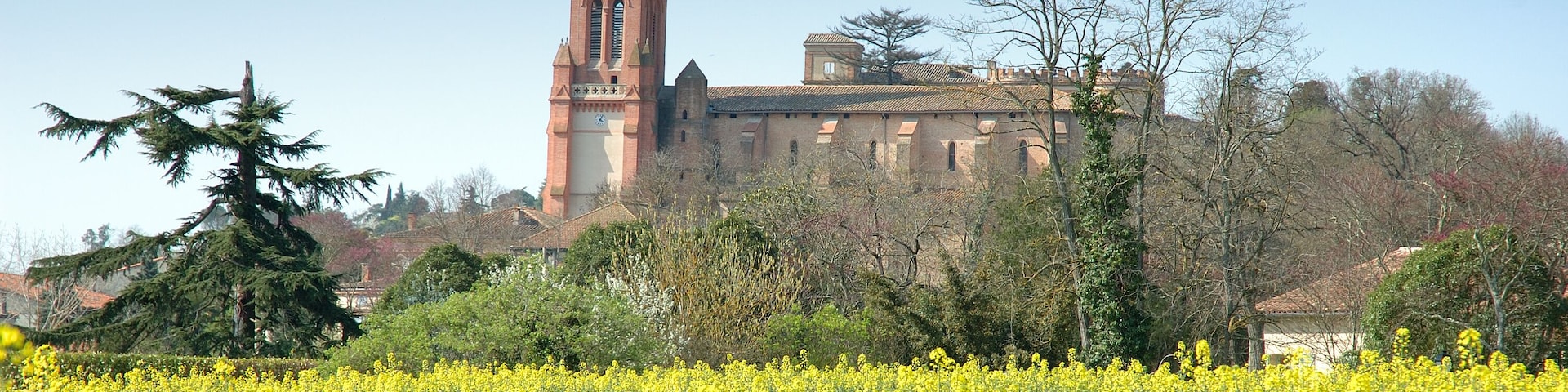 une église dans les pré
