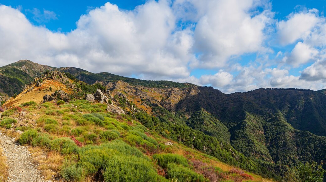 Panoramic view on the 4000 steps hike from Vallerauge to the mount Aigoual in the Cevennes national park, France
