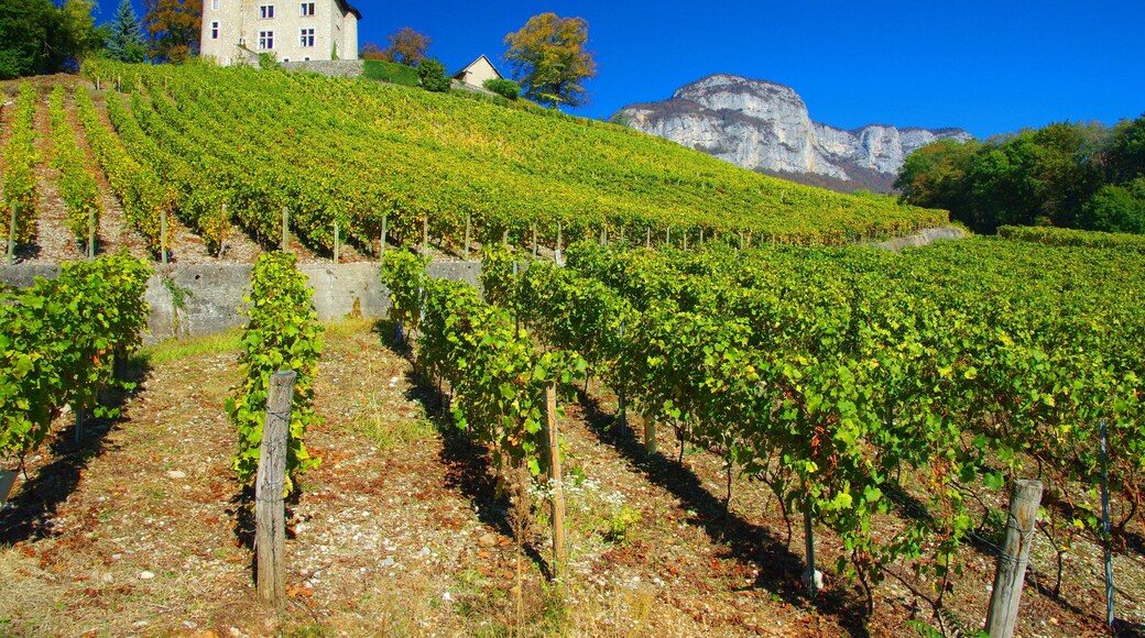 Anjou Bleu Communauté