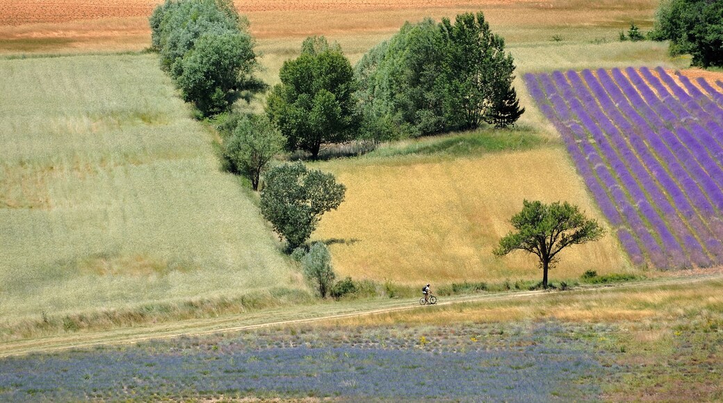 Luberon Montes de Vaucluse