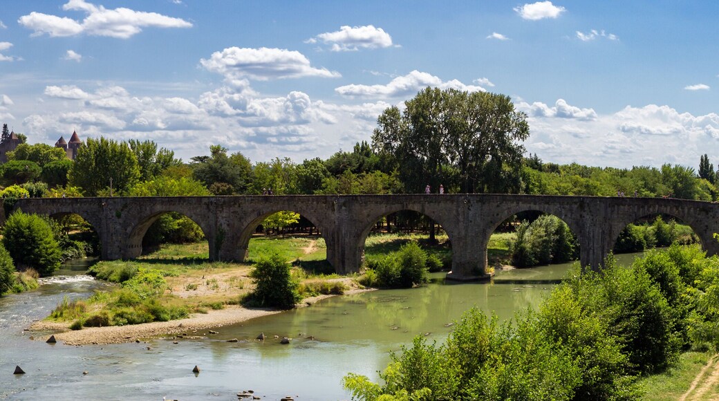 Beautiful town of Carcassonne in Canal du Midi (France)