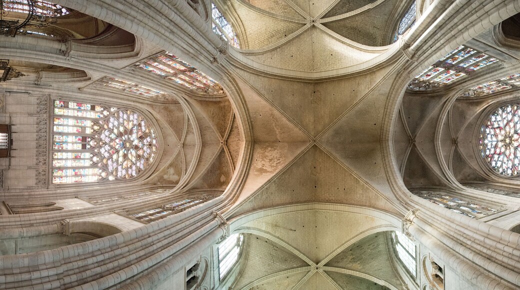 cathedral of Sens in France