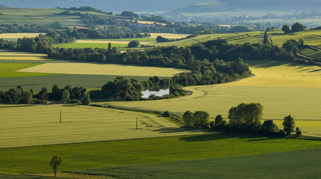 Valley of the Marne