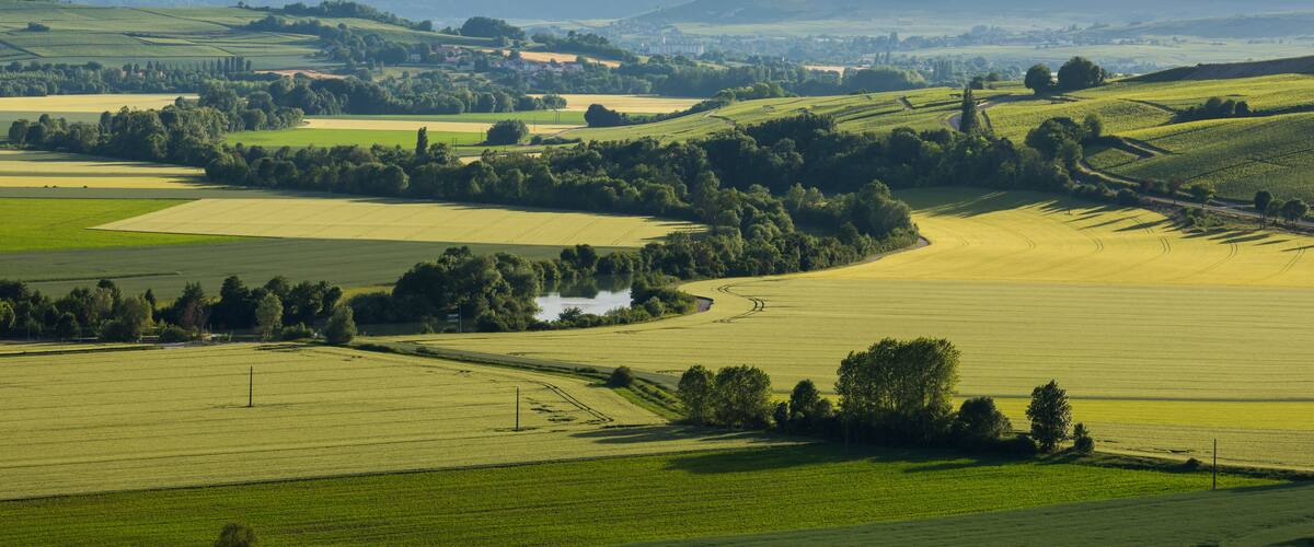 Valley of the Marne