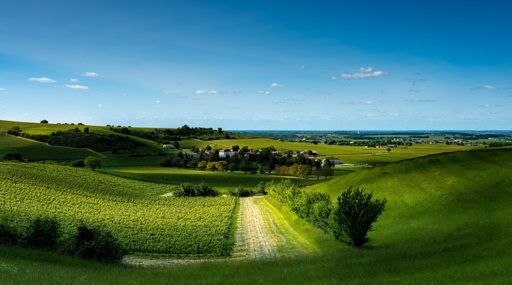 Paysages de la Champagne