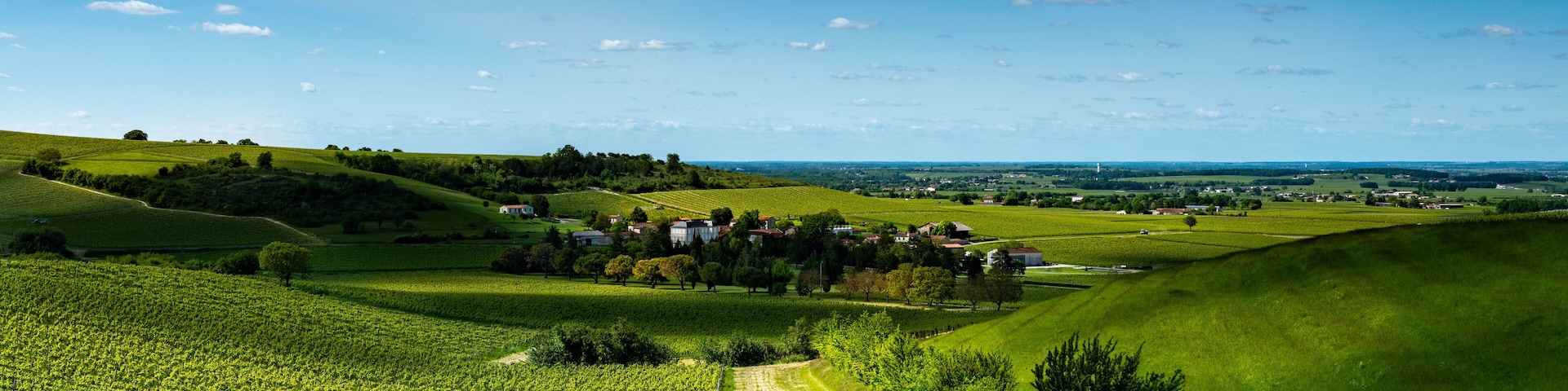 Village dans l'appelation grande champagne de la région de cognac