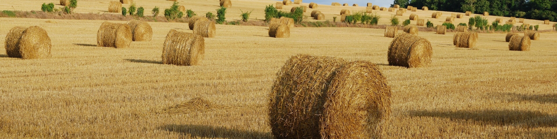 Panorama champêtre, France