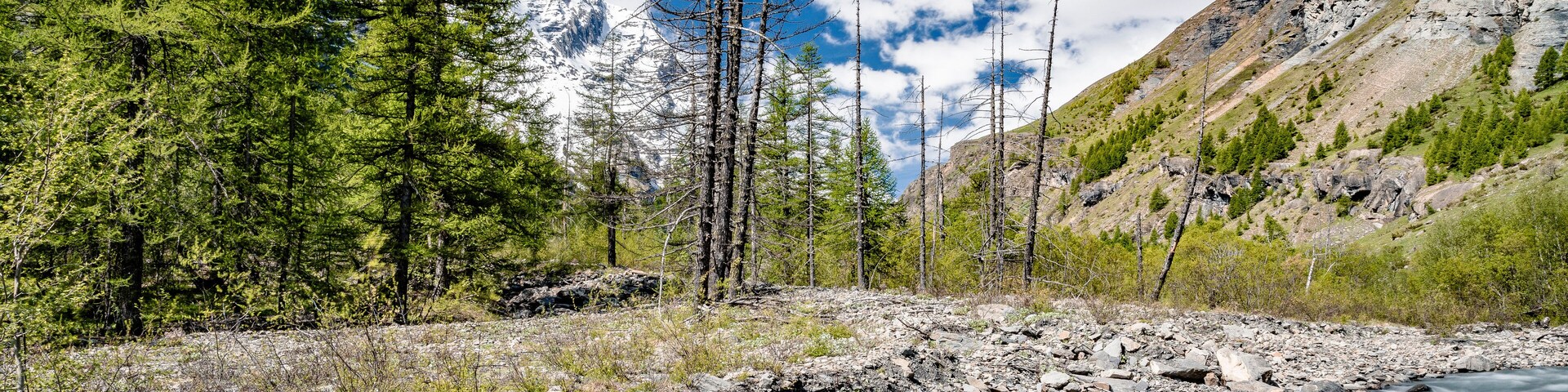 Torrent du Fournel et Tete de la Canonniere