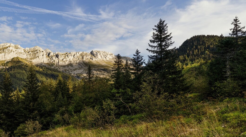 Aglomeración de Trièves