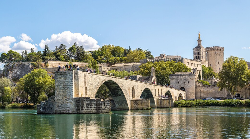 Saint Benezet bridge in Avignon