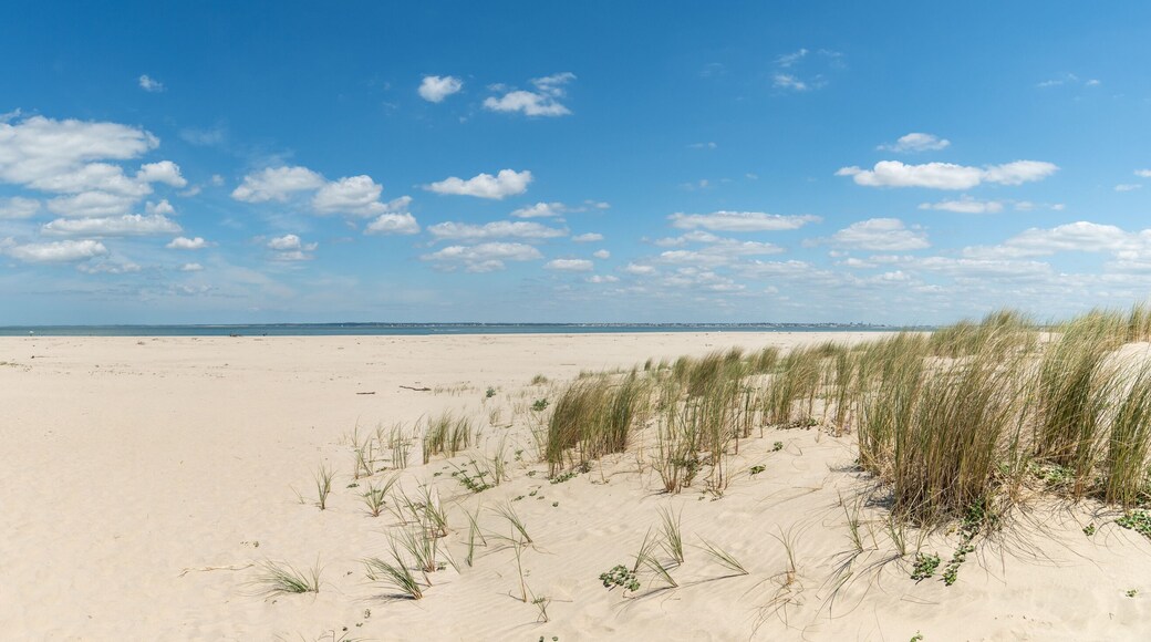 LE VERDON, dans le Médoc (Gironde, France). Plage de Saint-Nicolas