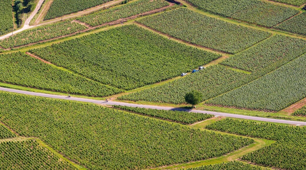 Saint Cyr MĂšre Boitier entre Charolais et MĂąconnais