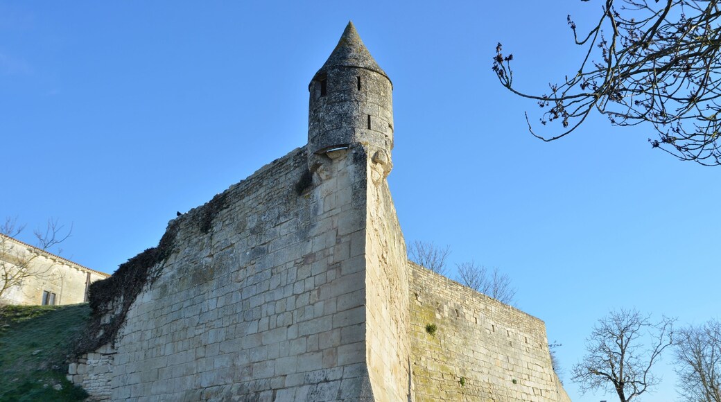 Rempart de l'abbaye Saint-Pierre de Maillezais, Vendée, France