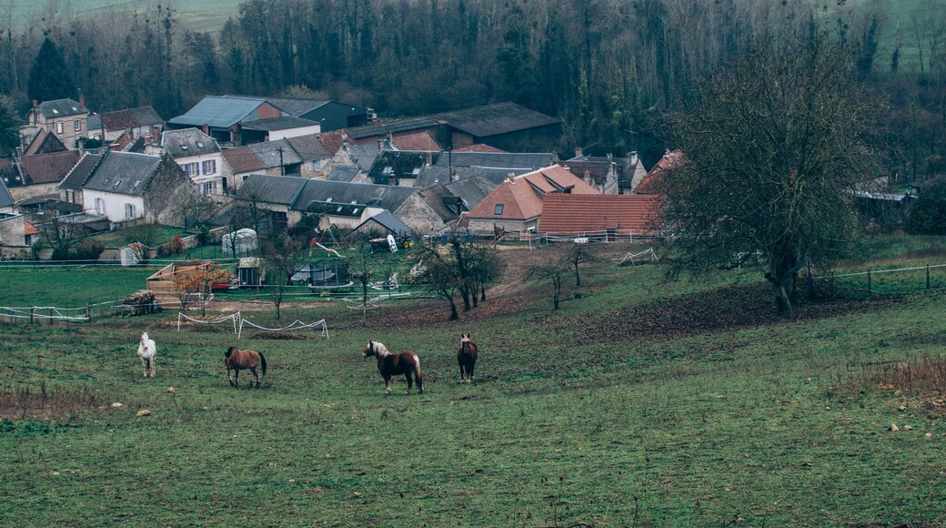 Val de l'Aisne