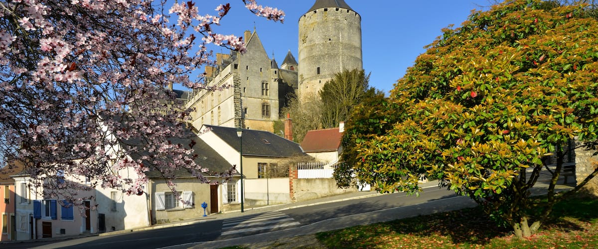 Un bâtiment historique doté d’une tour, entouré de cerisiers en fleurs et surplombé d’un ciel bleu azur.