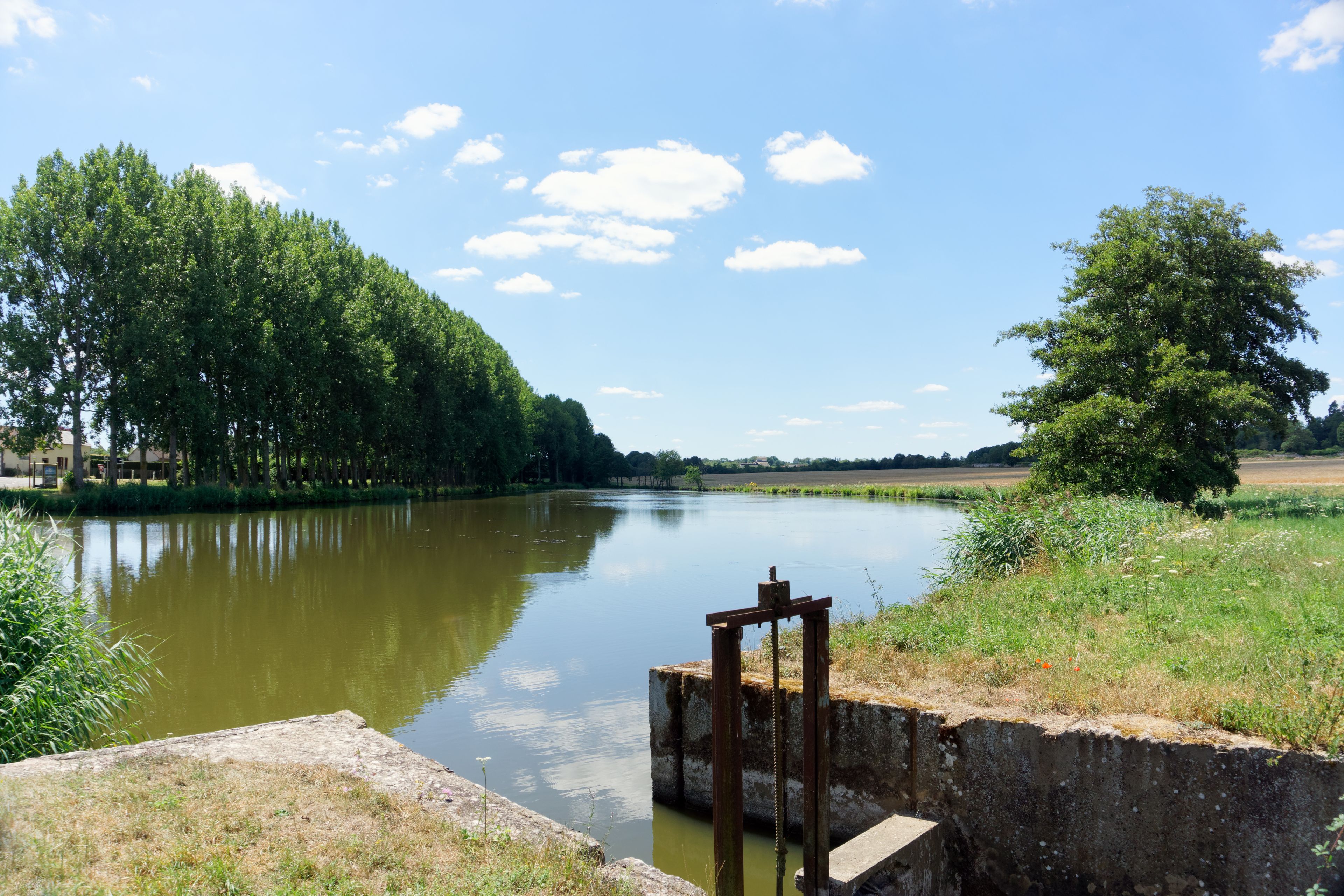 Une rivière paisible, bordée d’une structure en bois, entourée d’une végétation luxuriante et d’arbres, sous un ciel bleu dégagé.