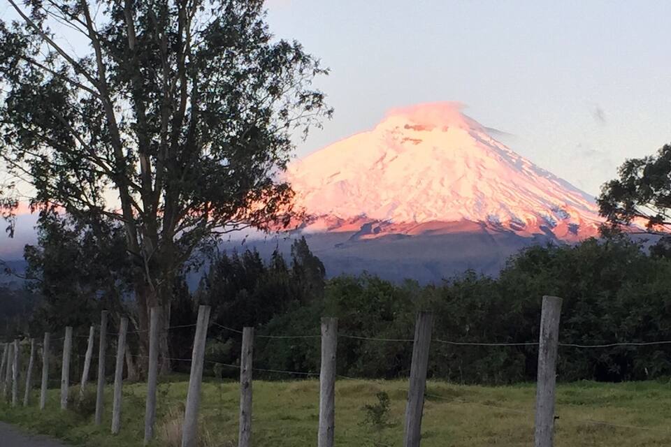 A mountain with a reddish glow at sunset, surrounded by a fence and trees.