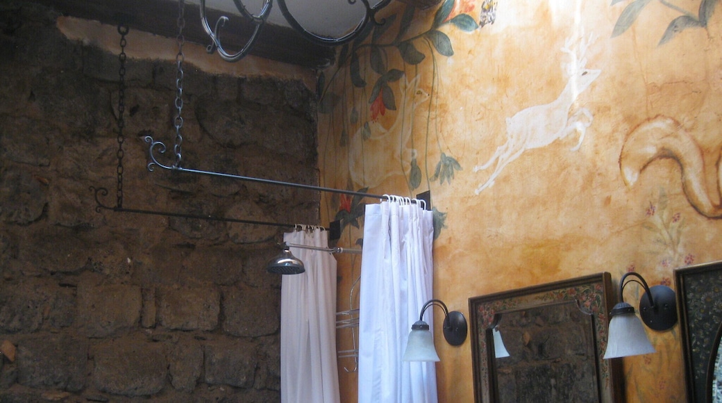 One of the unique, originally painted and decorated rooms of the Hacienda