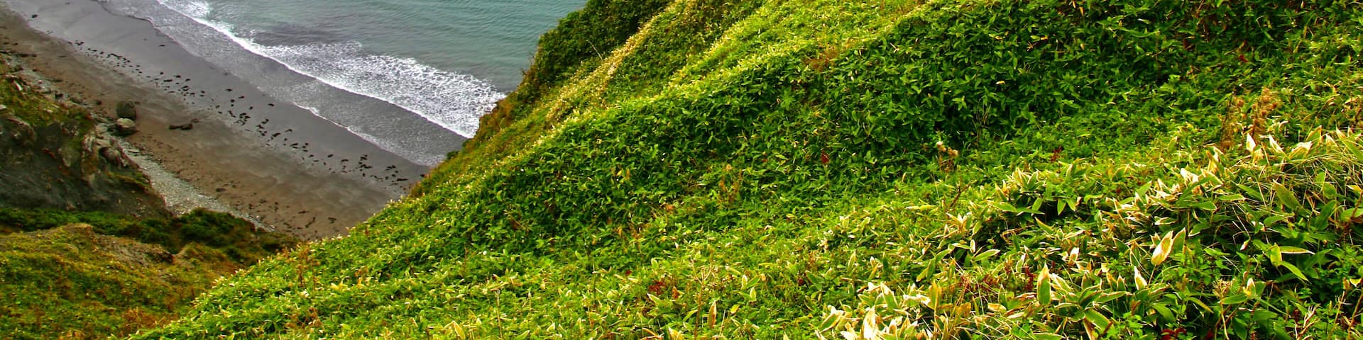 愛冠岬・あいかっぷ(北海道・厚岸郡厚岸町)
