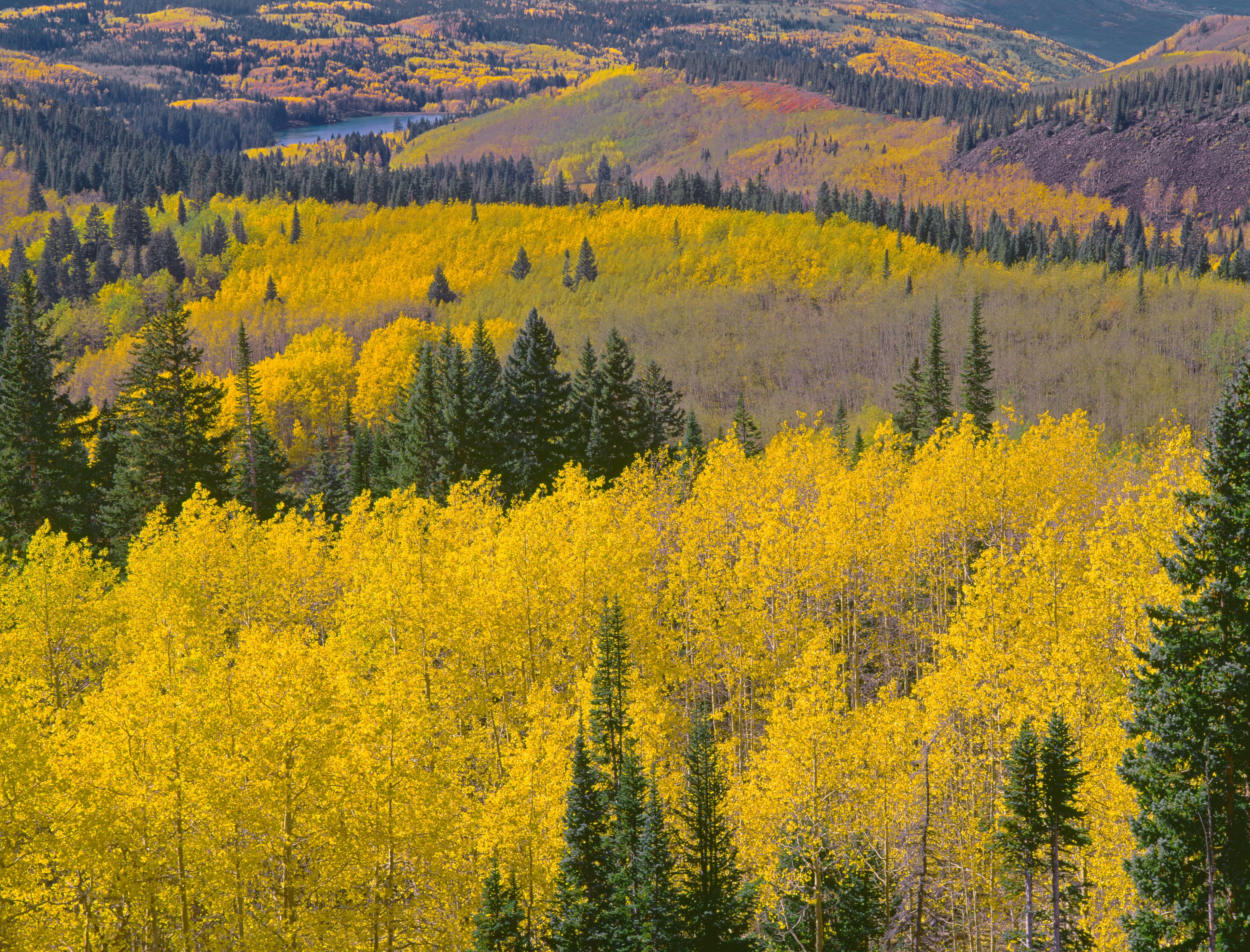 Grand Mesa National Forest