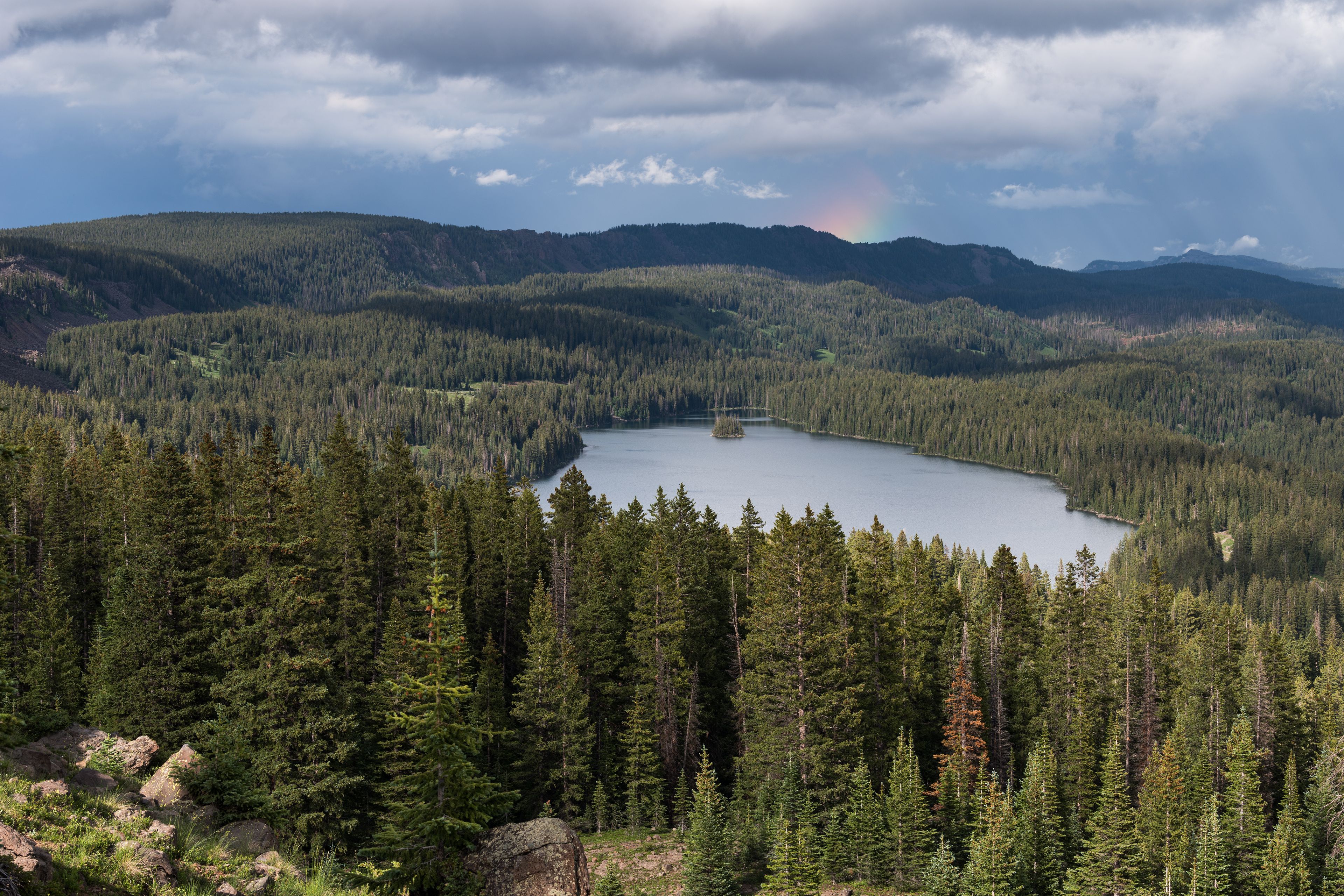 Grand Mesa National Forest