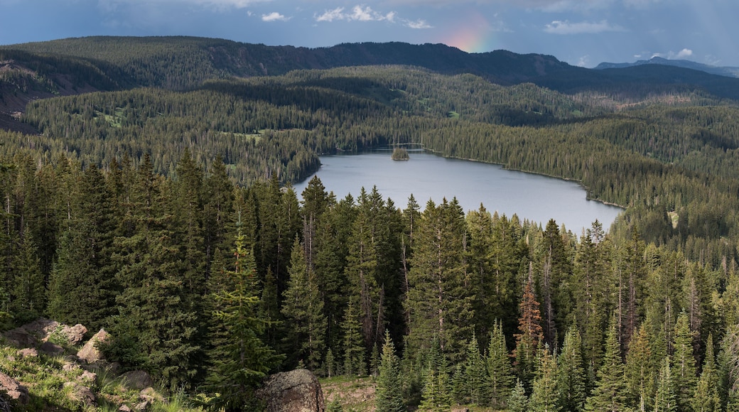 Grand Mesa National Forest