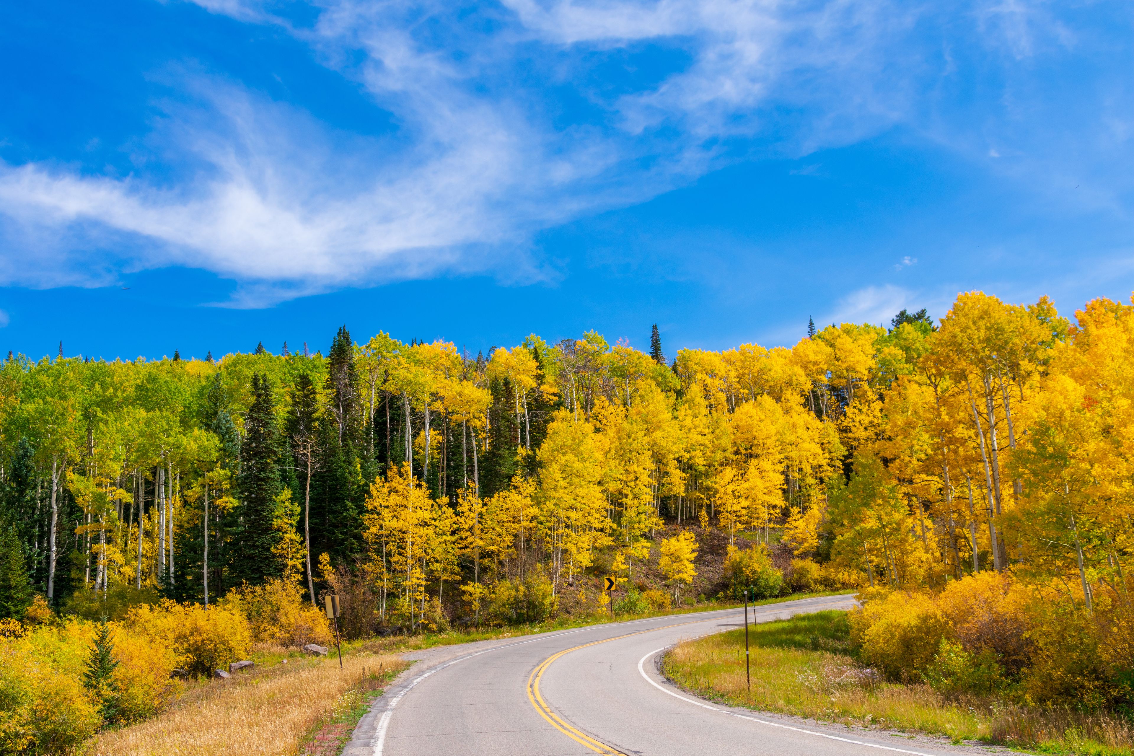Grand Mesa National Forest