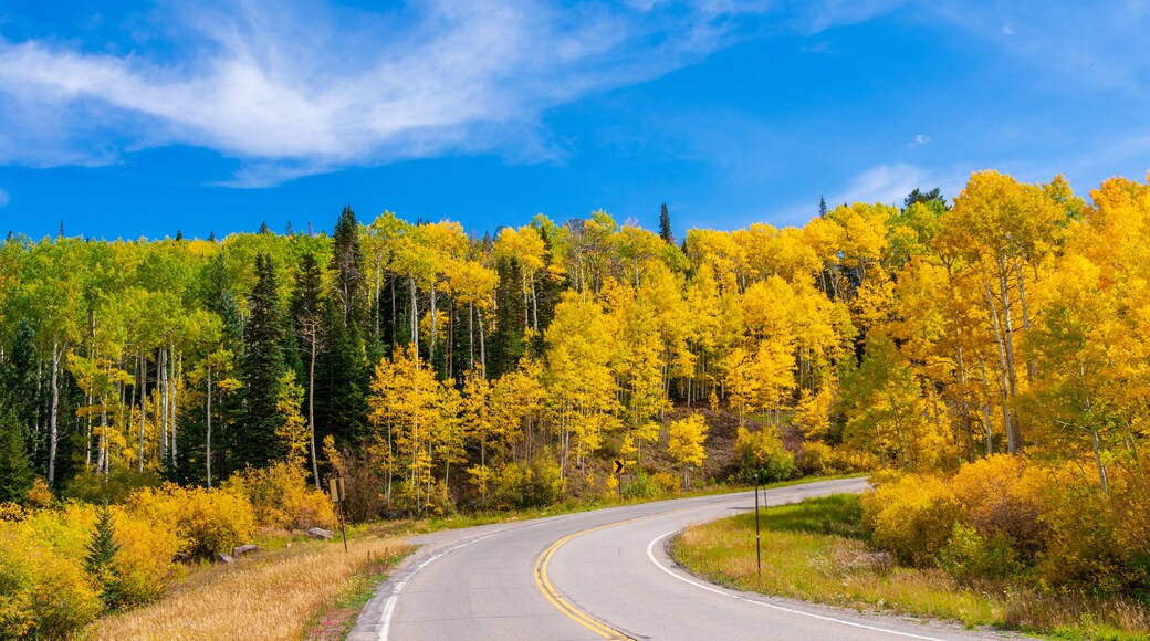 Grand Mesa National Forest