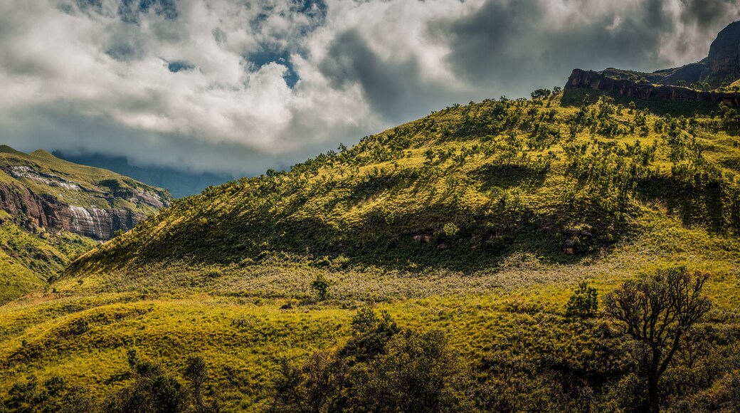 Distrito municipal de Amajuba